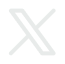 X Icon